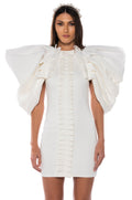 ANNIKA STATEMENT SLEEVE MINI DRESS